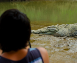 Tárcoles, Costa Rica