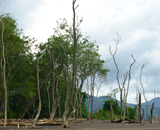 Tárcoles, Costa Rica