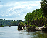 Tárcoles, Costa Rica